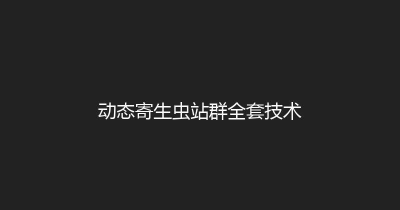 动态寄生虫站群全套技术 封面图