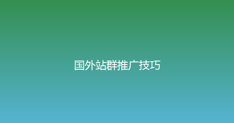 国外站群推广技巧 封面图