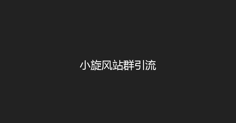 小旋风站群引流 封面图