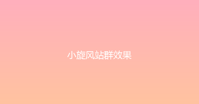 小旋风站群效果 封面图