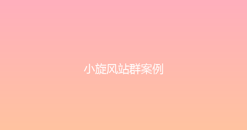 小旋风站群案例 封面图