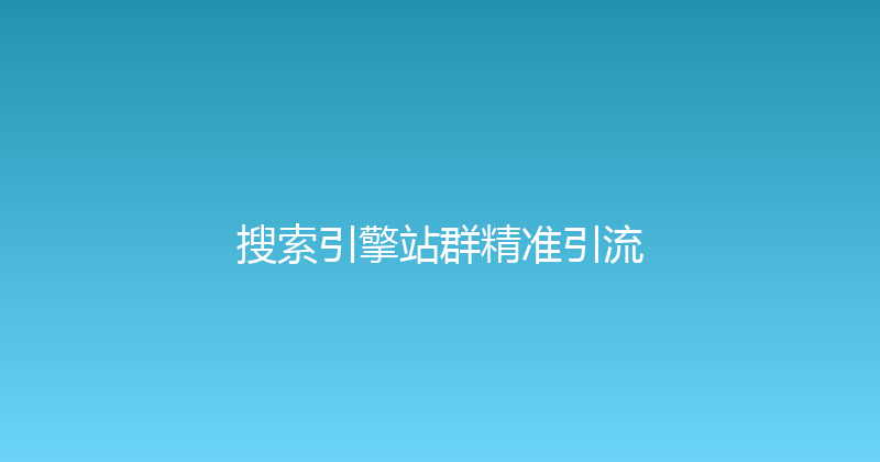 搜索引擎站群精准引流 封面图