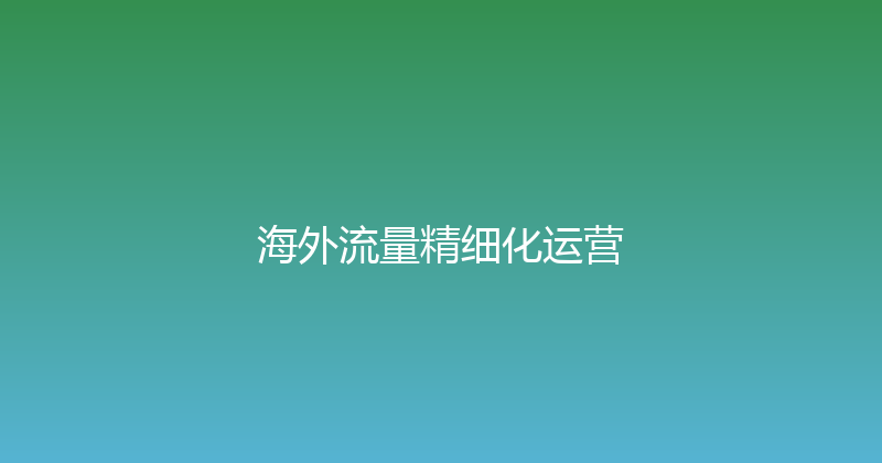 海外流量精细化运营 封面图