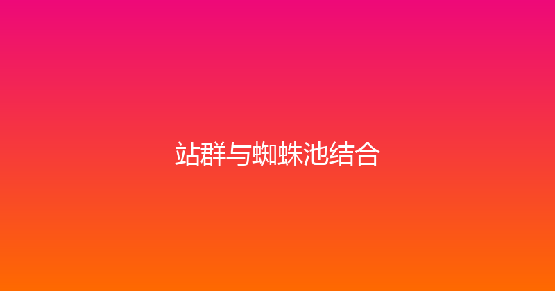 站群与蜘蛛池结合 封面图