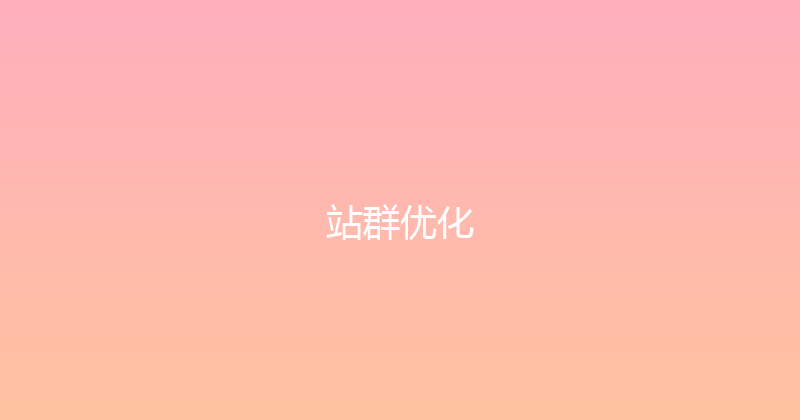 站群优化 封面图