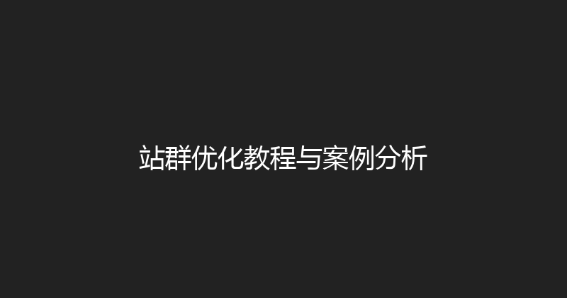站群优化教程与案例分析 封面图