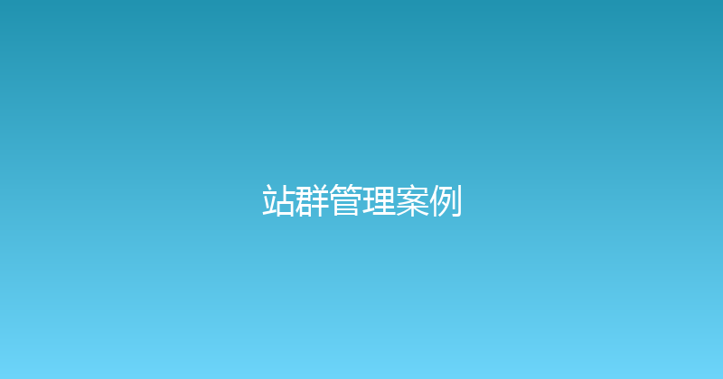 站群管理案例 封面图