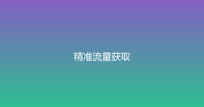 精准流量获取 封面图