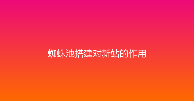 蜘蛛池搭建对新站的作用 封面图