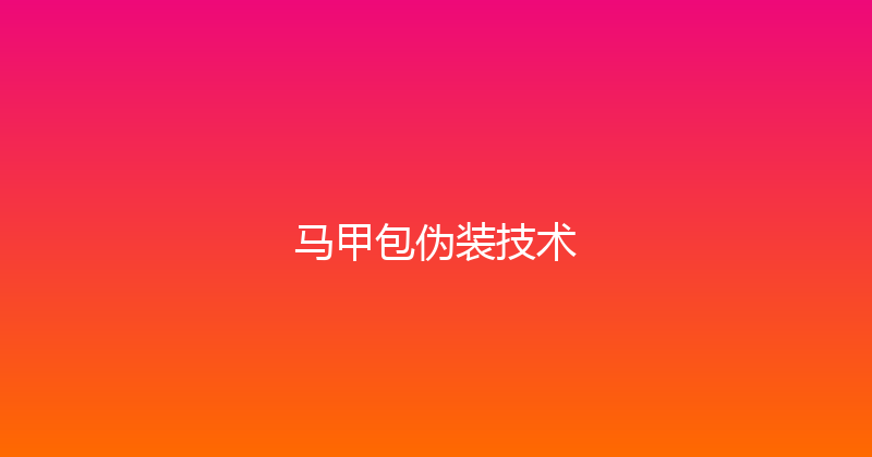 马甲包伪装技术 封面图